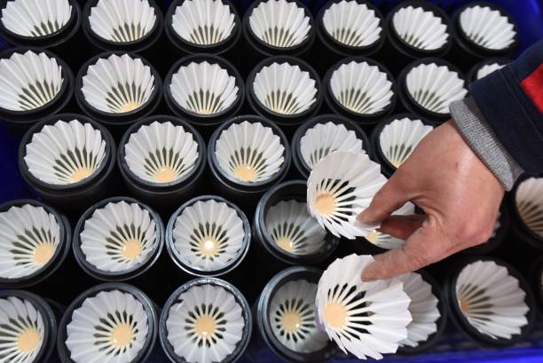 专业选手都在用的羽毛球拍材质，你的拍子选对了吗？