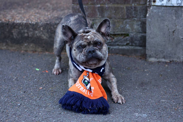 德甲ds直播：柏林联合vs弗赖堡，黑马之间的较量！