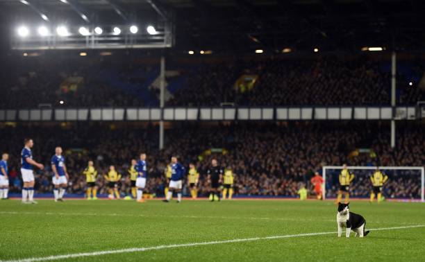 欧冠小组赛冲刺阶段：哪些球队已濒临出局？