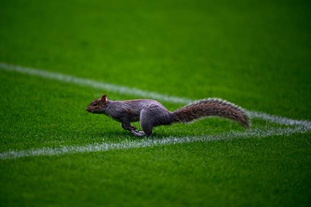 德甲实时积分榜：降级区球队生死战