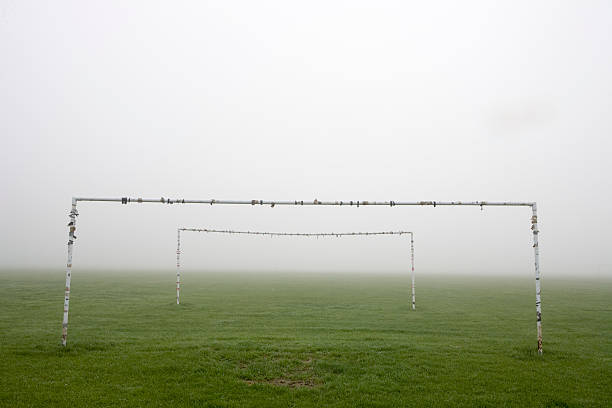 德甲黑马球队排名飙升，传统强队遭遇挑战