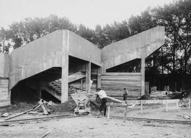 2024年奥运会项目大全：哪些传统与新兴项目将亮相巴黎？