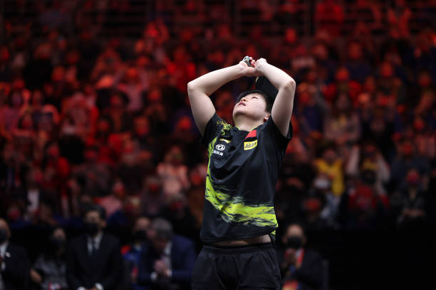 从磨损程度看更换时机:乒乓球胶皮更换全攻略