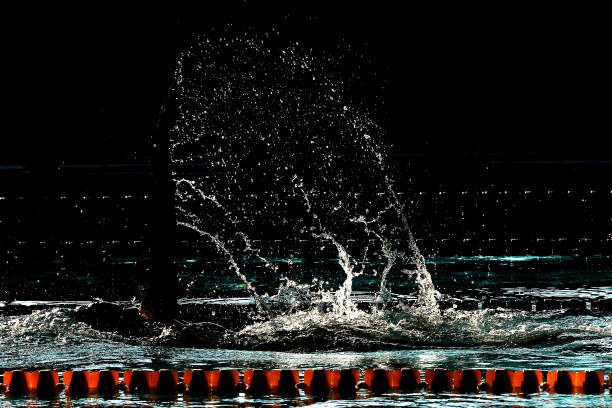 游泳转身技巧：自由泳与蛙泳的完美转身