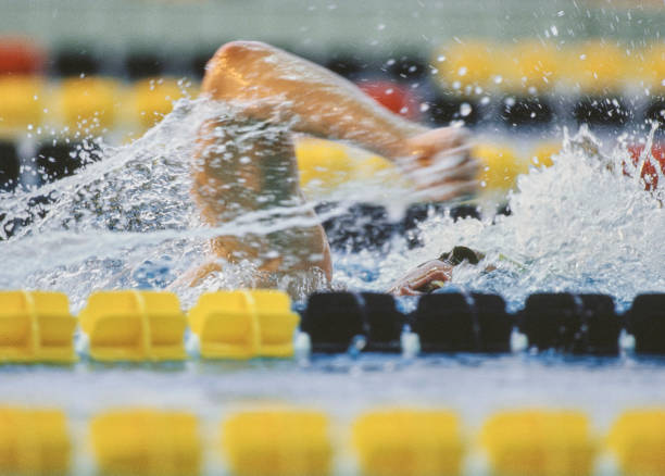 游泳比赛信息查询平台全攻略：从报名到成绩查询一网打尽