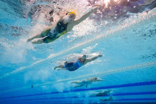 游泳教练证含金量调查：持证者就业率与薪资水平分析