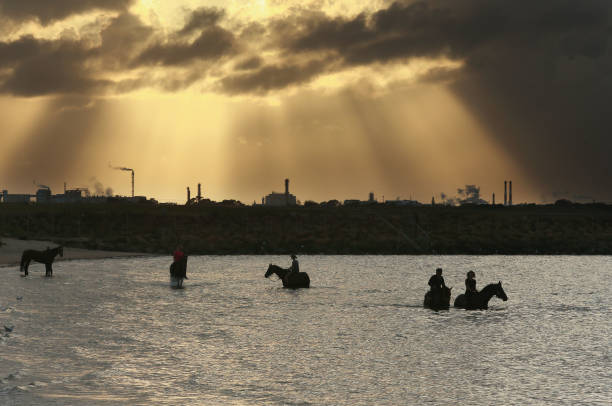 游泳比赛标语灵感库,助你策划完美赛事