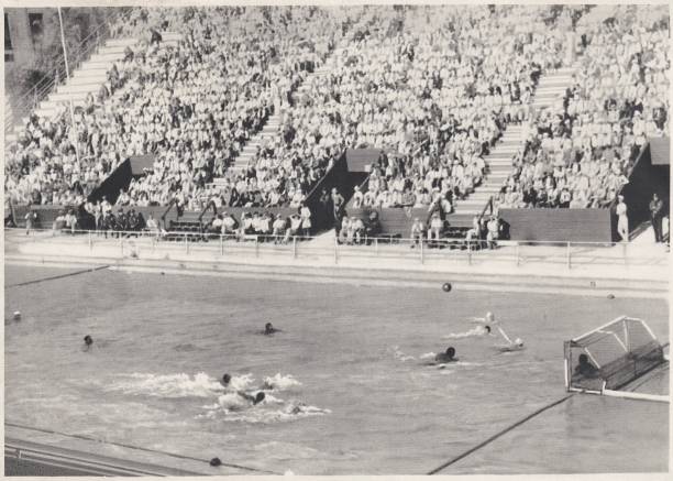 网上购买充气游泳池的价格陷阱与省钱技巧