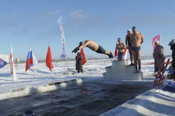 自由泳与其他泳姿的对比：技术特点与适用场景