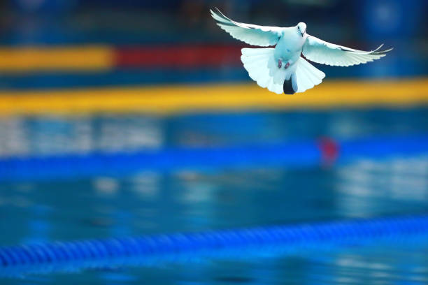 家长必看：儿童充气游泳池气味是否安全？科学解答