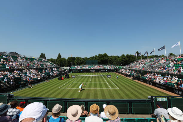 辛那的网球生涯数据：胜率、对手与比赛统计