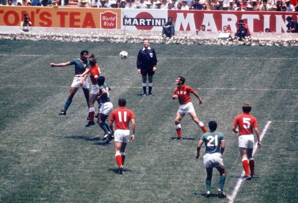 盘点世界杯历届最佳射手：那些闪耀绿茵场的进球机器